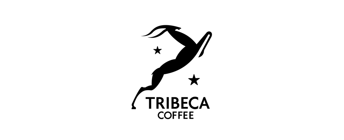 Tribeca Coffee Roastery: Longstanding Partners in Growing South African Coffee